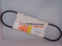 V-snaar Lombardini LDW502M