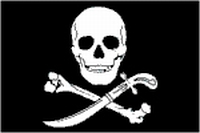 Piraten vlag 30x45cm