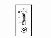 RVS Zelftapper kruiskop  5,5x19mm  blister 5 stuks