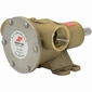 Johnson impellerpomp type F5B-8 46 liter/min.